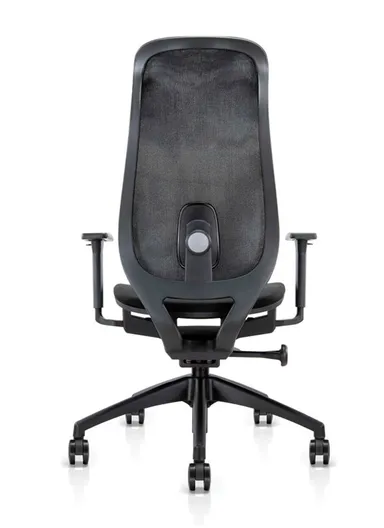Elegant Ergonomic Office Chair, Desk Chair with Lumbar Support, Position Locking Mechanism, Adjustable Height &amp; Adjustable Armrest 6239A (W67 x D65 x H115-121)cm - Black