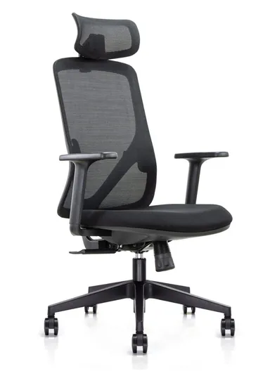 Ergonomic Office Chair, Desk Chair with Lumbar Support, Position Locking Mechanism, Adjustable Height &amp; Headrest Adjustment 6239A (W66 x D63 x H116-106)cm - Black