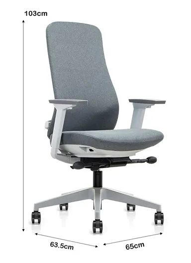 Ergonomic Sliding Seat Office Chair, Desk Chair with Lumbar Support, Position Locking Mechanism, Adjustable Height, 3D Armrest &amp; Headrest Adjustment 6240B-HS (W65 x D63 x H135-115)cm - Grey