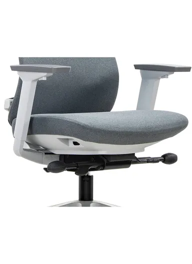 Ergonomic Sliding Seat Office Chair, Desk Chair with Lumbar Support, Position Locking Mechanism, Adjustable Height, 3D Armrest &amp; Headrest Adjustment 6240B-HS (W65 x D63 x H135-115)cm - Grey