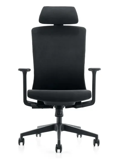 Ergonomic Office Chair, Desk Chair with Position-Locking Mechanism, High-Density Foam Seat, Adjustable Height &amp; Headrest Adjustment 6220A-2 (W66 x D70 x H126-116)cm - Black