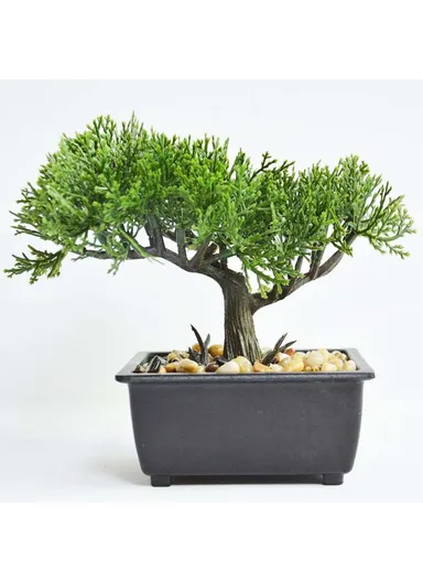 Living Room Simulation Green Plant Artificial Cypress Mini Potted Plant Office Desktop Decor