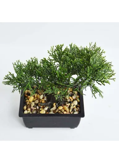 Living Room Simulation Green Plant Artificial Cypress Mini Potted Plant Office Desktop Decor