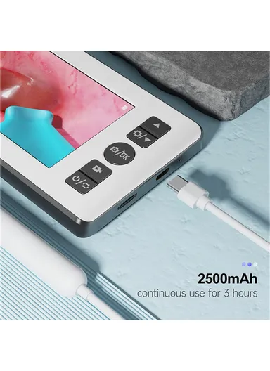 4.3-inch HD Visual Ear Cleaning Endoscope Professional Otoscope Ear Wax Removal Tool N18