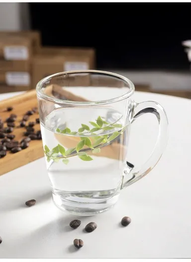 265ml 6Pcs Transparent Round Glass Cups For Hot &amp; Cold Drinks (D8 x H11)cm