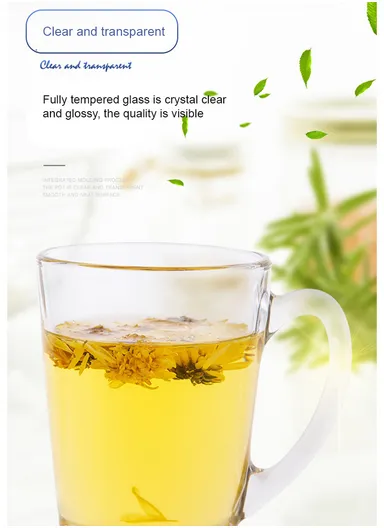 265ml 6Pcs Transparent Round Glass Cups For Hot &amp; Cold Drinks (D8 x H11)cm