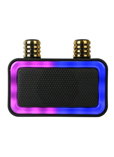 4" Mini Portable Outdoor Audio Subwoofer Powerful Wireless Speaker with Dual Wireless Microphones ZQS1491W