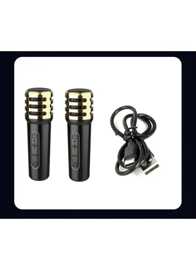 4" Mini Portable Outdoor Audio Subwoofer Powerful Wireless Speaker with Dual Wireless Microphones ZQS1491W