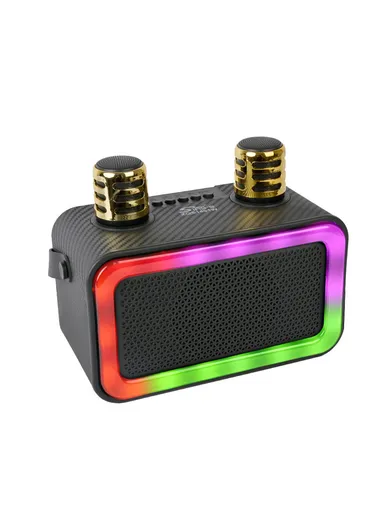 4" Mini Portable Outdoor Audio Subwoofer Powerful Wireless Speaker with Dual Wireless Microphones ZQS1491W