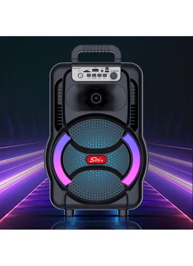8" Portable Outdoor Wireless Stereo Speakers Battery Powered Subwoofer Karaoke Square Dance Radio with Wireless Microphone &amp; Remote Control ZQS8166W