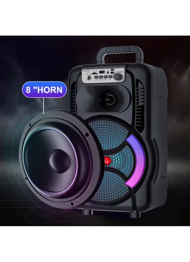 8" Portable Outdoor Wireless Stereo Speakers Battery Powered Subwoofer Karaoke Square Dance Radio with Wireless Microphone &amp; Remote Control ZQS8166W
