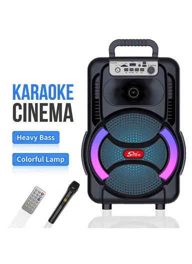 8" Portable Outdoor Wireless Stereo Speakers Battery Powered Subwoofer Karaoke Square Dance Radio with Wireless Microphone &amp; Remote Control ZQS8166W