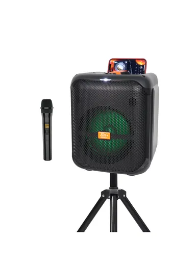 8" + Tweeter Portable Hi-Fi BT Home Stereo Subwoofer Karaoke Speaker Professional Wireless With Wireless Microphone ZQS8181