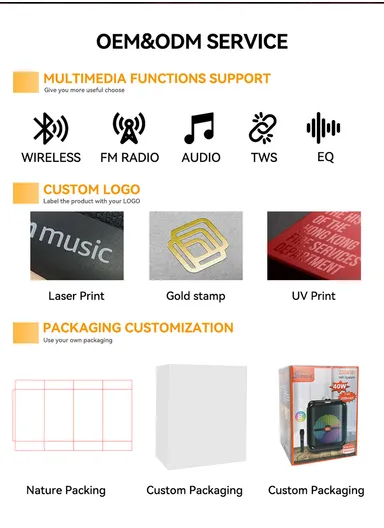 8" + Tweeter Portable Hi-Fi BT Home Stereo Subwoofer Karaoke Speaker Professional Wireless With Wireless Microphone ZQS8181