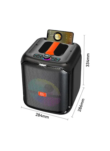 8" + Tweeter Portable Hi-Fi BT Home Stereo Subwoofer Karaoke Speaker Professional Wireless With Wireless Microphone ZQS8181