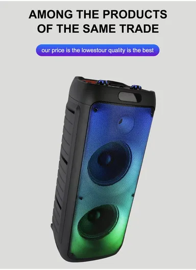 Dual 8" + Tweeter Outdoor Party Karaoke Speaker Blue Tooth RGB Pull Cart Convenient Microphone-Use Computer Stage Speake with Wireless Microphone &amp; Remote Control ZQS8236