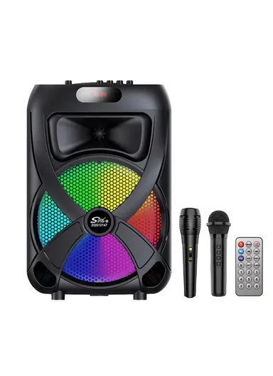 12" + Tweeter Portable Wireless BT Speaker High Sound Quality Karaoke Speaker with Wireless Microphone, Wired Microphone &amp; Remote Control ZQS12147 