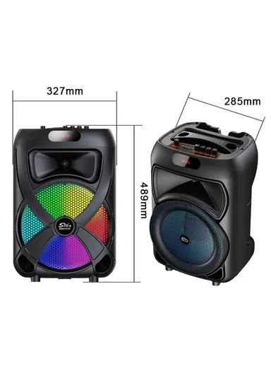 12" + Tweeter Portable Wireless BT Speaker High Sound Quality Karaoke Speaker with Wireless Microphone, Wired Microphone &amp; Remote Control ZQS12147 