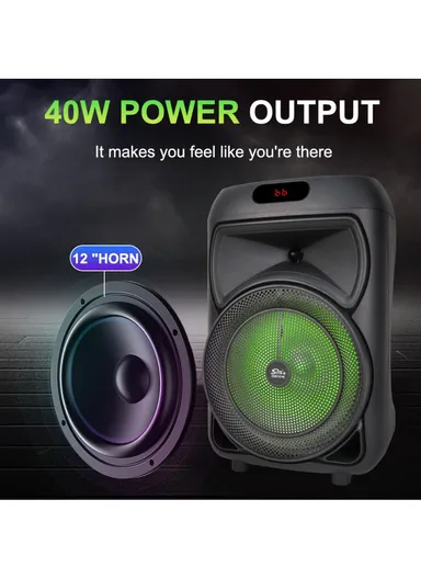 12" + Tweeter Portable Wireless BT Speaker High Sound Quality Karaoke Speaker with Wireless Microphone, Wired Microphone &amp; Remote Control ZQS12147 