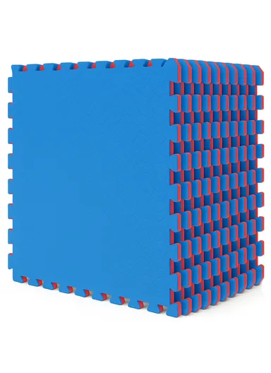 10 Pcs Soundproof EVA Foam Interlocking Floor Mats Soft, Non-Toxic, Non-Slip Protective Flooring for Gym Equipment or Workout Pads for Home (L100 x W100 x T2)cm - Blue &amp; Red