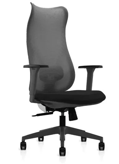 Ergonomic Office Chair, Desk Chair with High-Density Foam Sliding Seat, 3 Position Locking &amp; Height Adjustment 6235A (W64 x D68 x H118-128)cm - Black