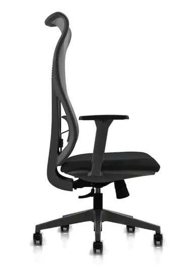 Ergonomic Office Chair, Desk Chair with High-Density Foam Sliding Seat, 3 Position Locking &amp; Height Adjustment 6235A (W64 x D68 x H118-128)cm - Black