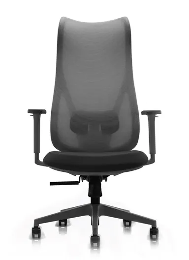 Ergonomic Office Chair, Desk Chair with High-Density Foam Sliding Seat, 3 Position Locking &amp; Height Adjustment 6235A (W64 x D68 x H118-128)cm - Black