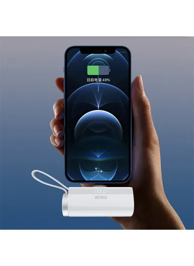 5000mAh Portable Mini USB-C Capsule Mobile Power Bank Charger with Watch Charger Wi-W026 