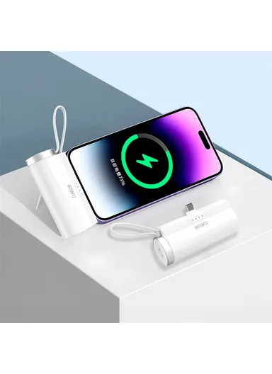 5000mAh Portable Mini USB-C Capsule Mobile Power Bank Charger with Watch Charger Wi-W026 