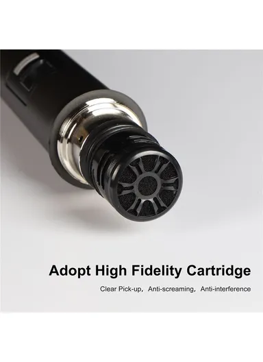 Moving Coil Microphone U-Band FM Wireless Mic with Receiver Home Karaoke Microphone W-14 - Blue