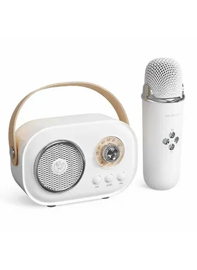 Plus Home Karaoke Wireless Bluetooth-compatible Speaker Support TF Card, with Microphone C20 - White