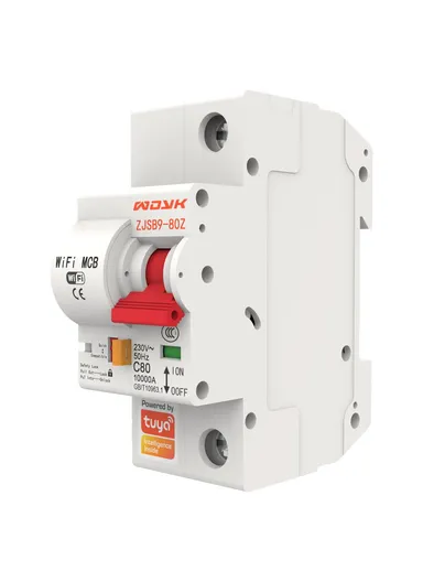 Smart WiFi Circuit Breaker, 10A–80A 1P Remote-Controlled Intelligent Switch with 6kA Short-Circuit Protection &amp; 6kV Surge Withstand for Smart Home Automation - 25A