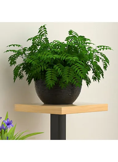 4-Tier Square Metal Flower Rack, Window Sill Plant Stand Home Decorative Accessory Rack Decor (L50 x W16 x H34)cm - Black &amp; Teak Grain