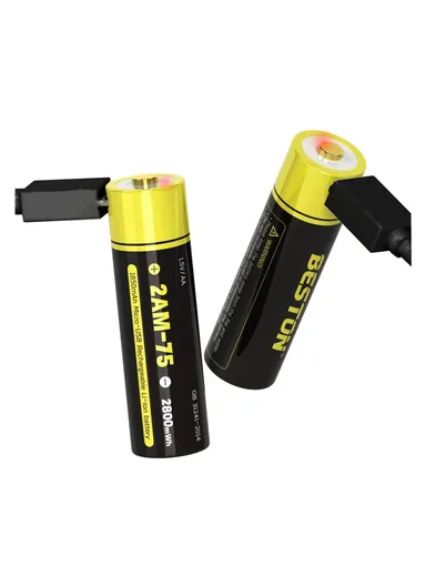 Beston Li-ion Rechargeable AA 1.5V Micro USB Pack of 2