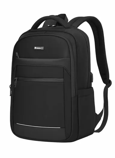 17-Inch Large Capacity Laptop Backpack, Slim &amp; Lightweight Business Travel Bag with USB Port, Organizer Compartments, &amp; Padded Straps SL1074 - Black