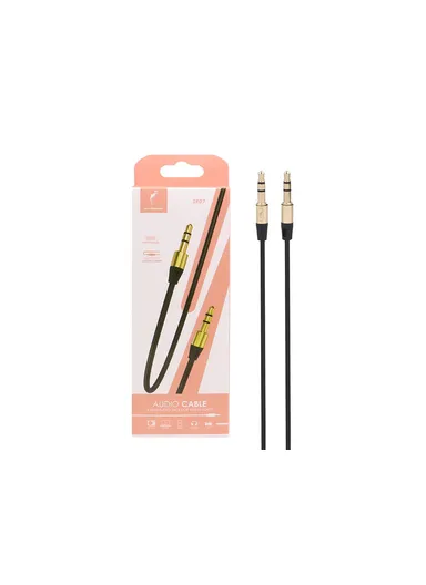 AUX Cable 1M