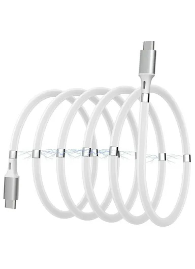 1m 2.4A Fast Charging Cable Magnetic Storage USB-C to USB-C 60W Data Cord