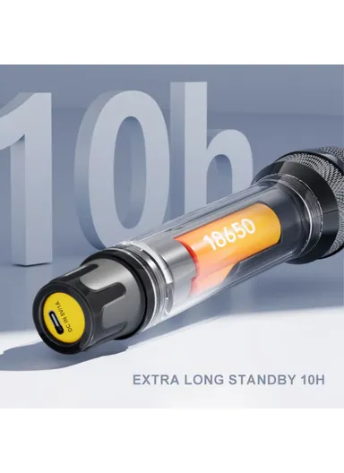 Singing Family KTV UHF Wireless Hand-Held Microphone Performance Live Streaming Mic, 1 Mic + 1 Receiver H21H - Grey