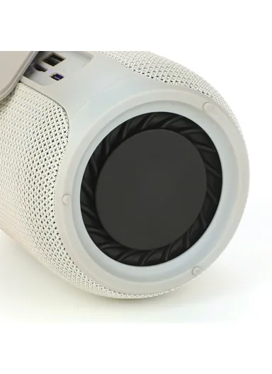 Portable Rechargeable Boombox Bluetooth-Compatible Speaker FM Radio Support U-Disk TF Card TG673 - Grey