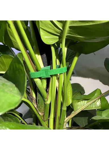 20Pcs 15x1cm Nylon Magic Tape Data Cable Management Ties Gardening Plant Tie Straps - Grey