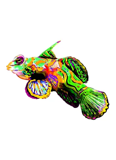 Iron Fish Shape Wall Hanging Decor Garden Decoration Home Pendant - Style 2