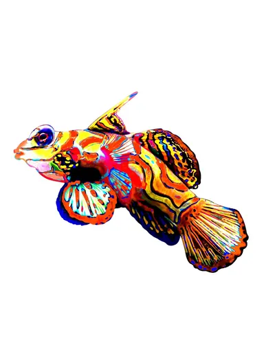 Iron Fish Shape Wall Hanging Decor Garden Decoration Home Pendant - Style 3