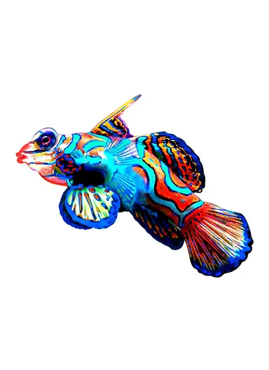 Iron Fish Shape Wall Hanging Decor Garden Decoration Home Pendant - Style 1