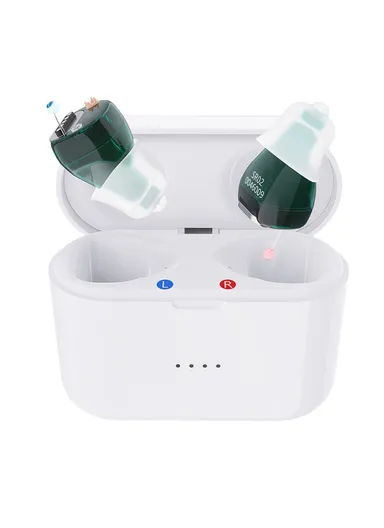 One Pair Magnetic Charging Hearing Aids Rechargeable Sound Amplifiers Hearing Aid Devices Headsets with Charging Case for Seniors, Adults SR02 