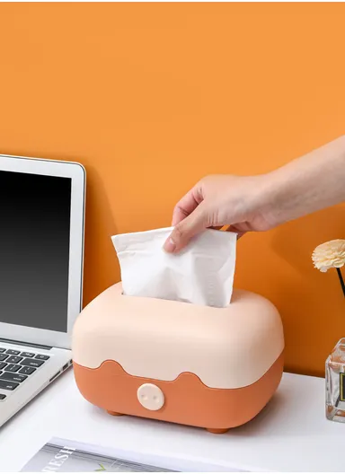 Living Room Table Tissue Box, Home Decoration Tissue Holder (W21 x D13 x H13)cm