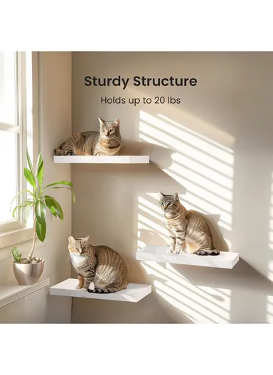 Wall Mounted Floating Wooden Shelf With Hidden Metal Brackets, Modern Display &amp; Storage Rack (L80 × W23.5 × H3.8)cm