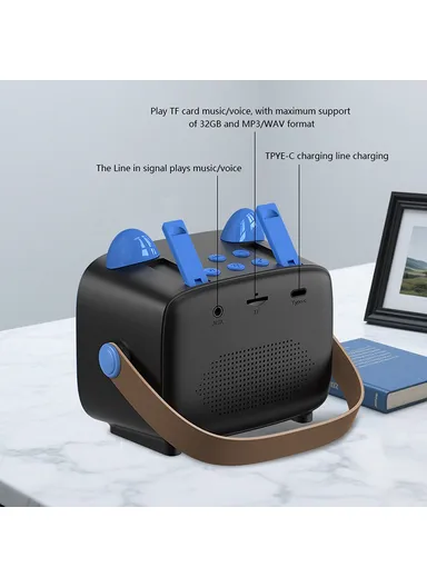 Children Karaoke Speaker with Dual Microphone Multi Light Modes Bluetooth-Compatible Audio System T99 - Black &amp; Blue