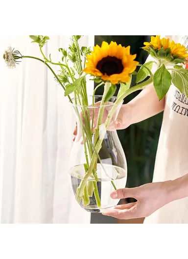 23cm High Minimalist Clear Glass Vase for Fresh Flowers Hydroponic Plants Living Room Decor