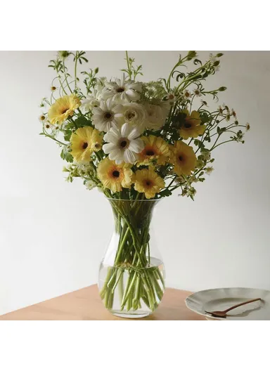 23cm High Minimalist Clear Glass Vase for Fresh Flowers Hydroponic Plants Living Room Decor