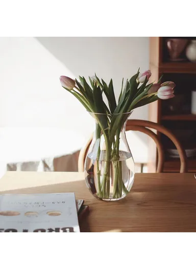 23cm High Minimalist Clear Glass Vase for Fresh Flowers Hydroponic Plants Living Room Decor